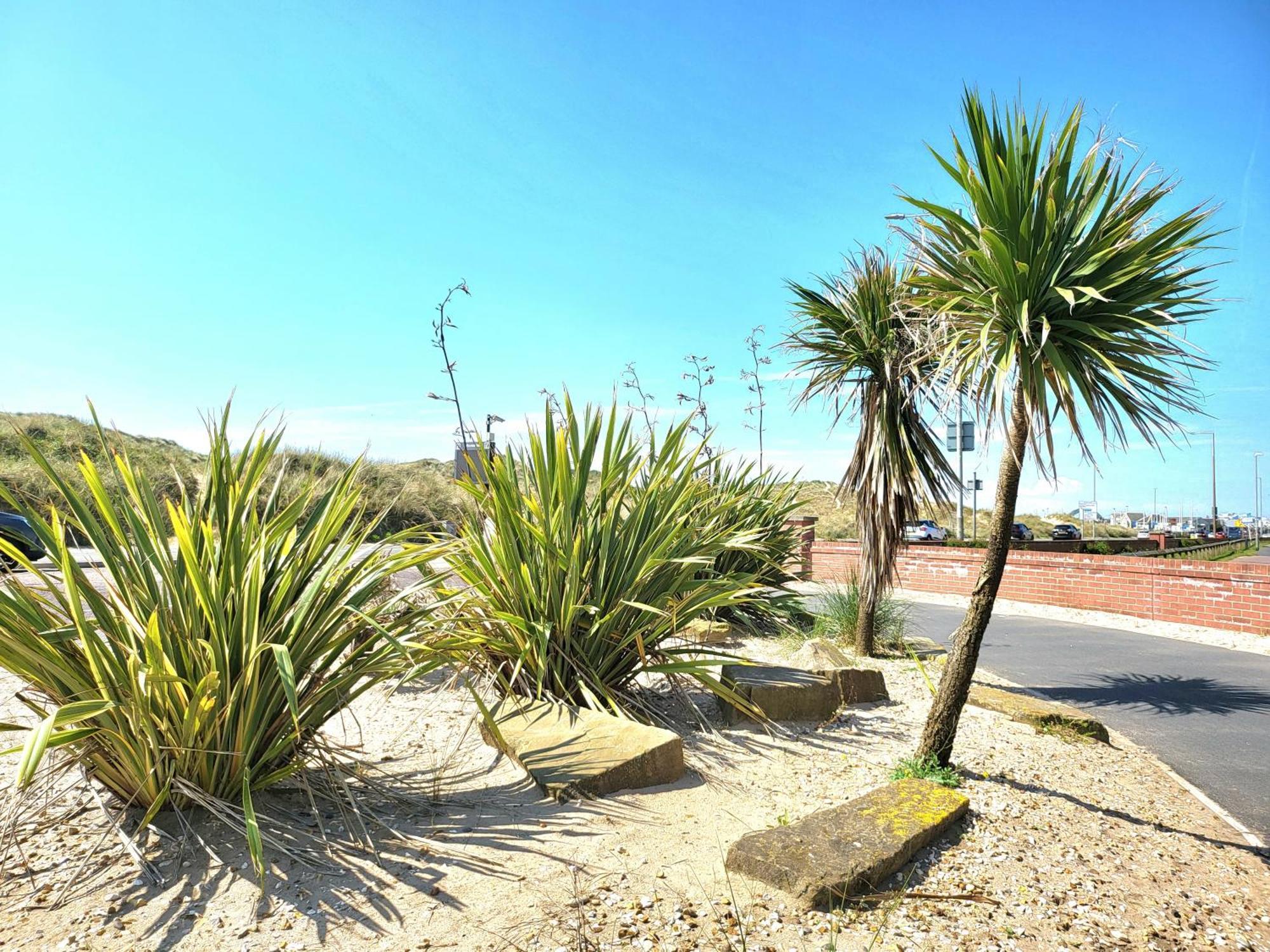 Seaside Beach Themed Home With Garden And Driveway リザム・セント・アンズ エクステリア 写真